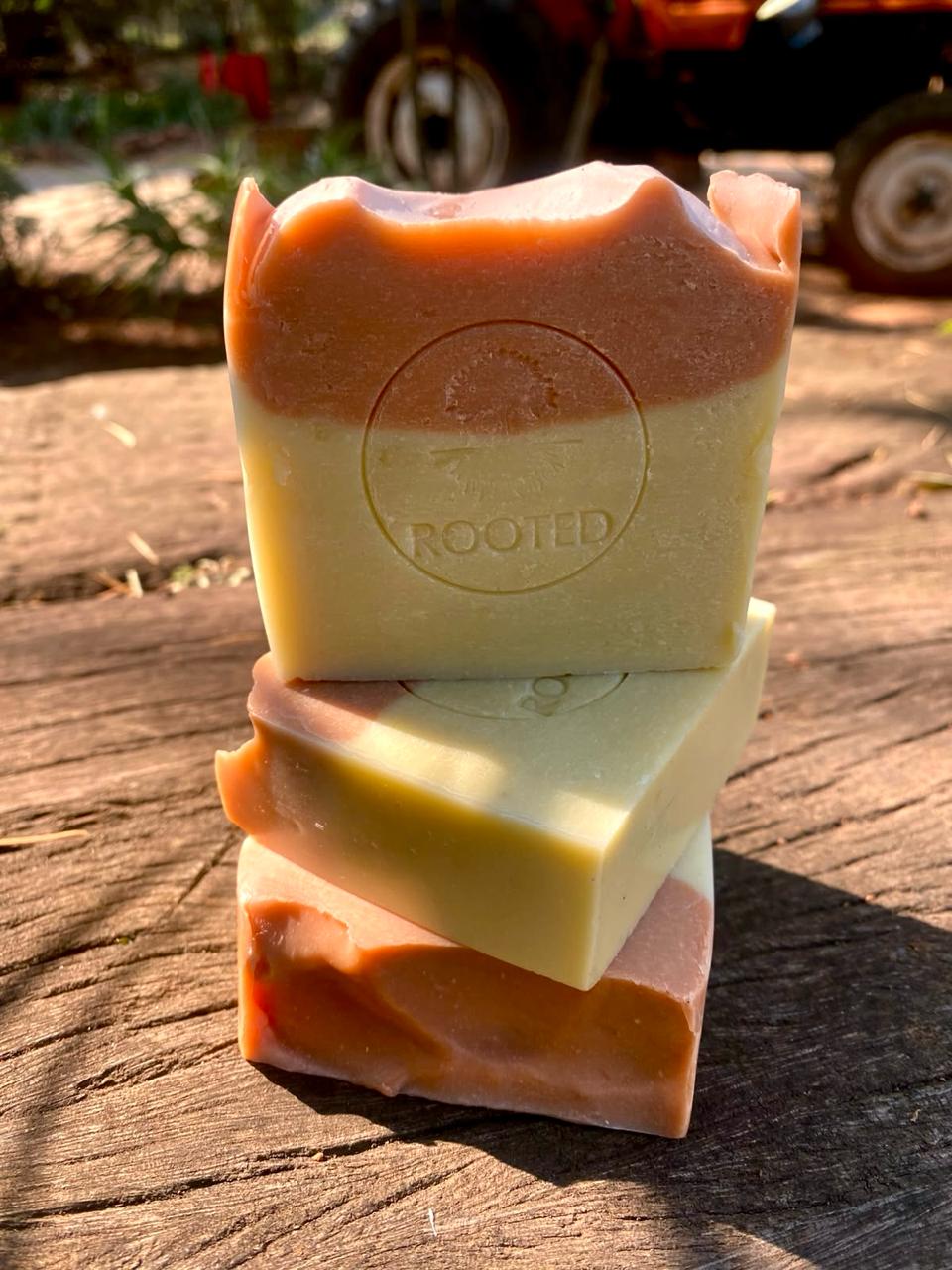 Rooted Cocoa-Rose Geranium Soap: handmade peach and cream bars with the Rooted stamp