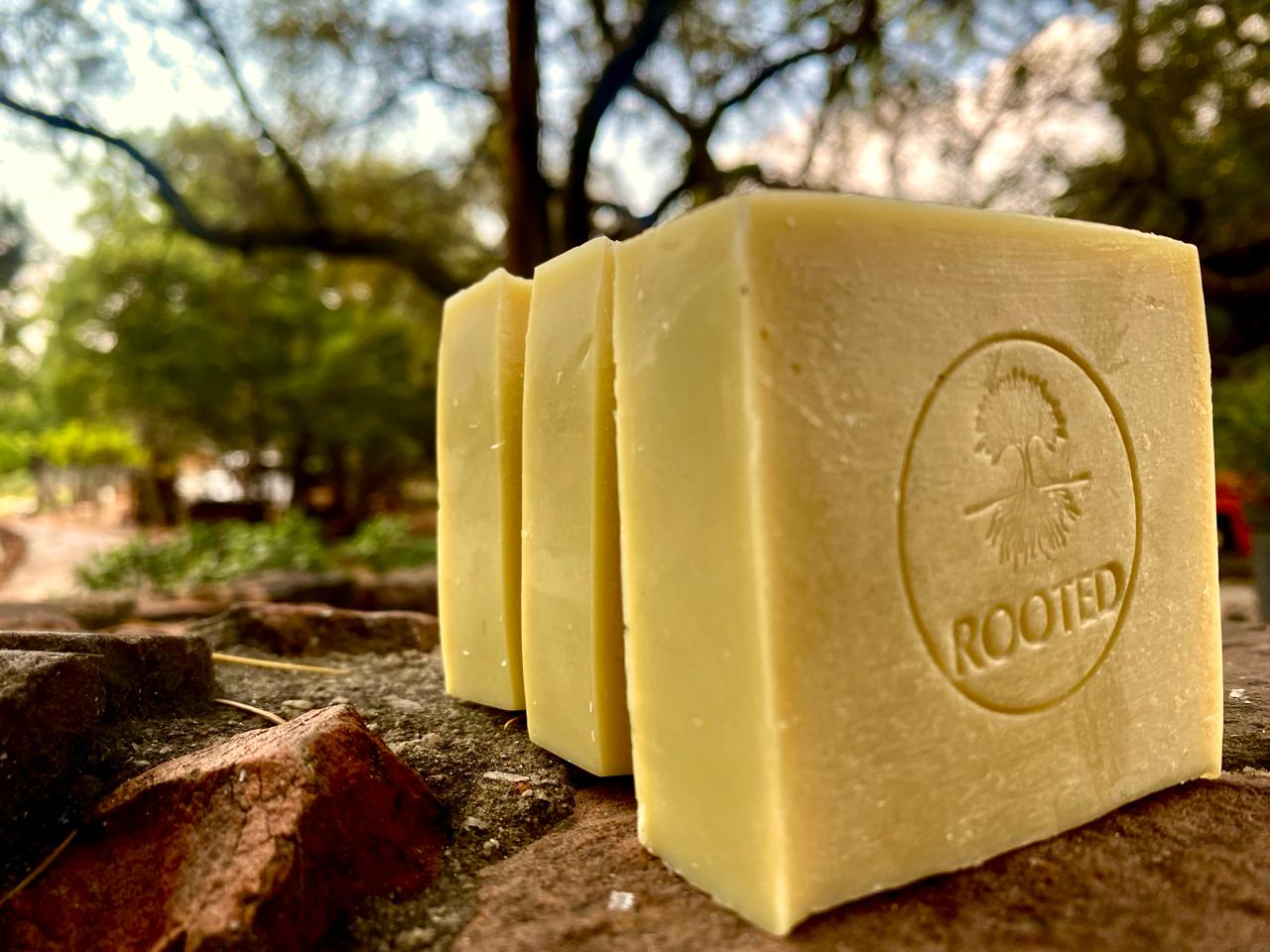 Rooted Shea-Olive Soap: handmade pale yellow bars with the Rooted stamp